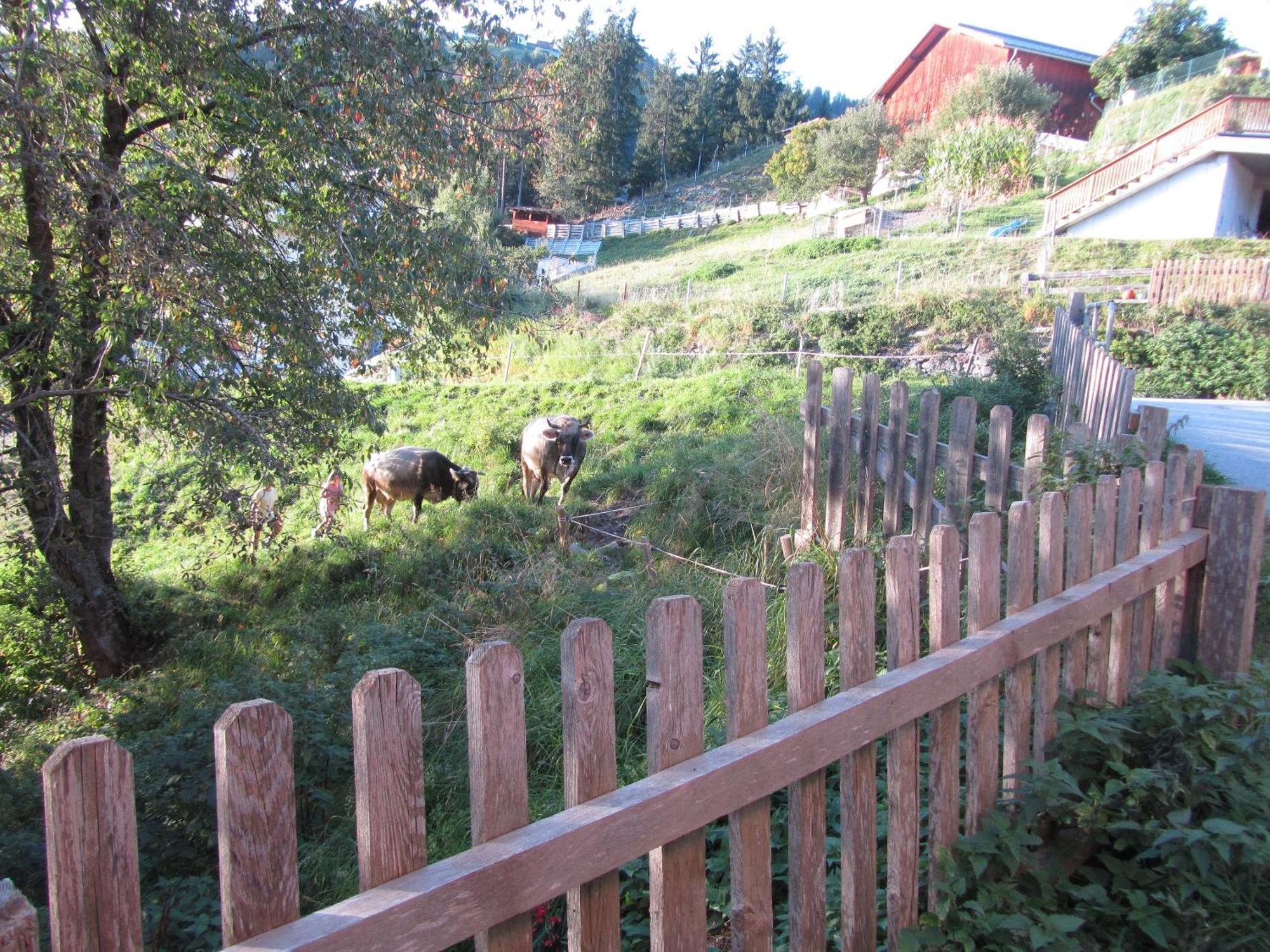 Haus Lentsch Apartman Kaunerberg Kültér fotó